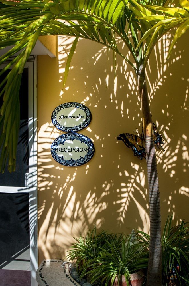 Abbey Del Sol Aparthotel Puerto Morelos Ngoại thất bức ảnh